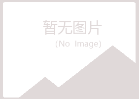 江津夏岚会计有限公司